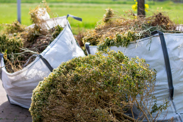 Best Office Junk Removal  in Ortonville, MI